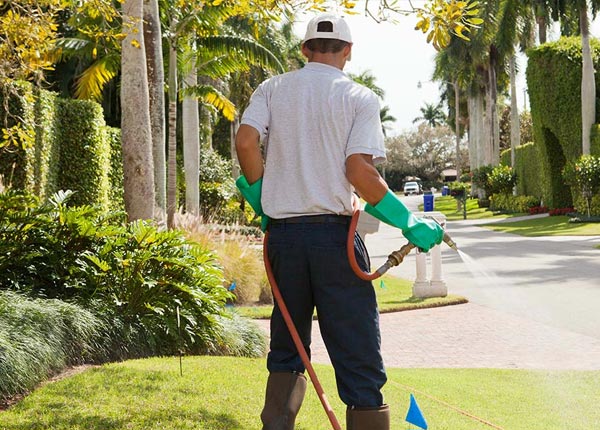 About Southwest PA Pest Control